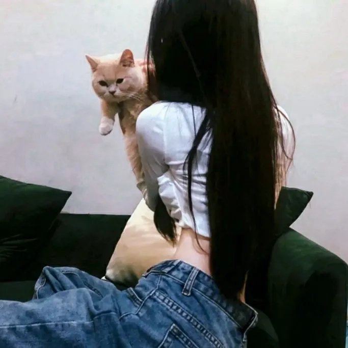 乌龙智慧管家 在线观看